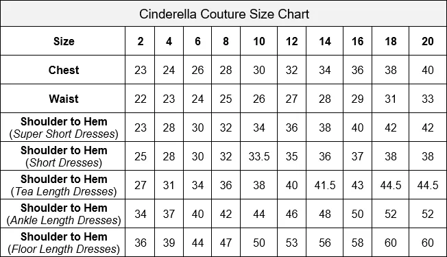 Beaded Bodice and Waist & Pleated Skirt Satin Girl Mini Quince by Cinderella Couture USA AS5047