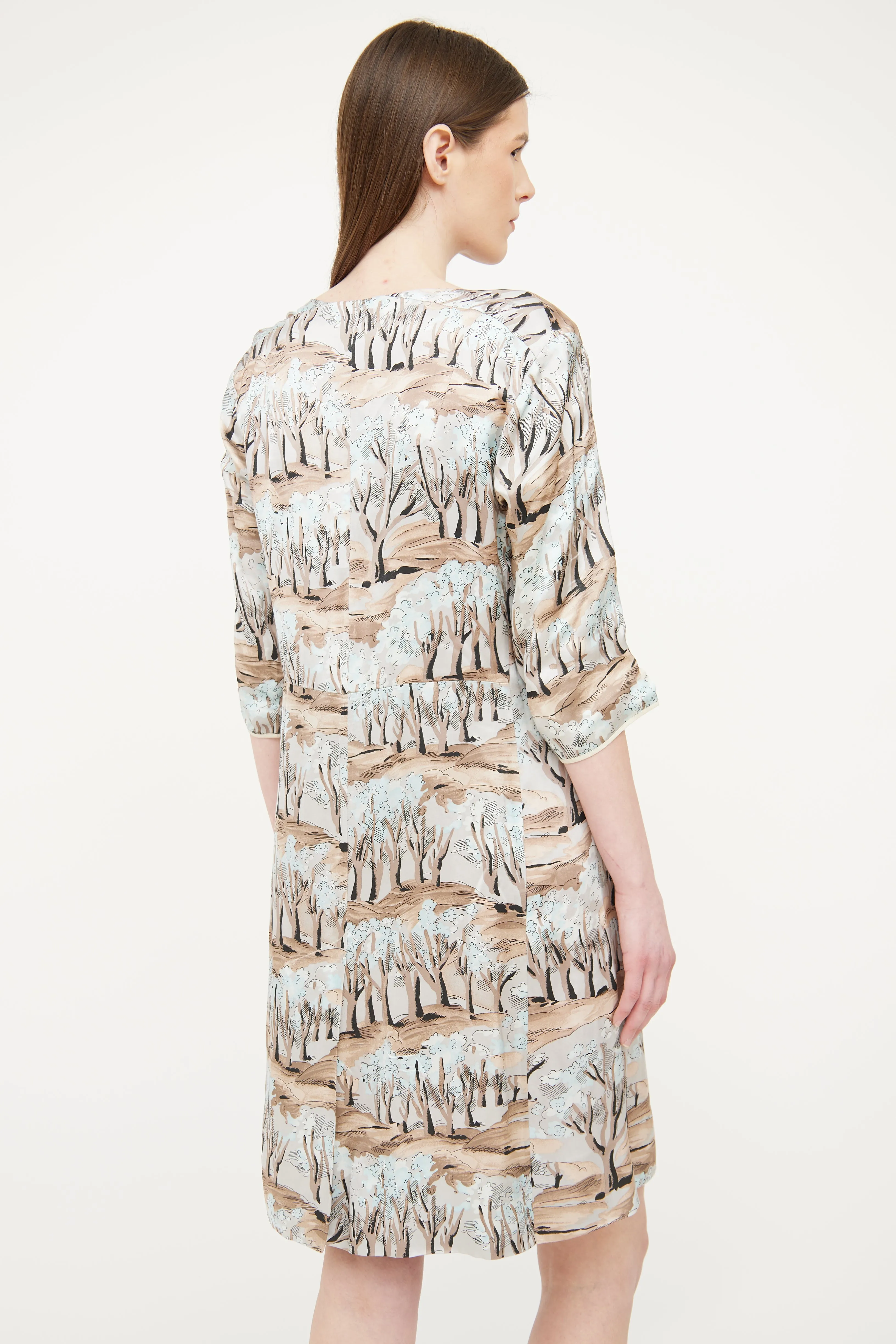 Brown Pleated Print Dress